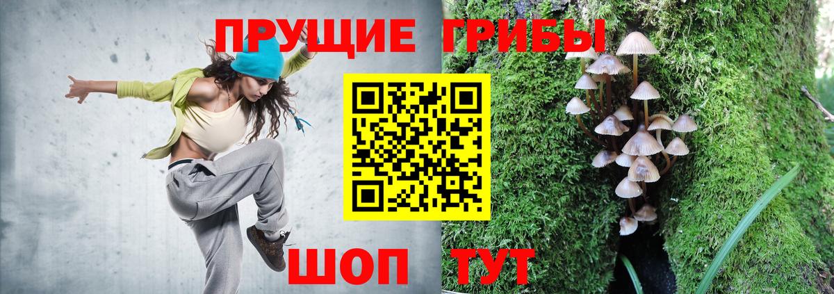 Псилоцибиновые грибы MAGIC MUSHROOMS  Вход с VPN  Ессентуки 