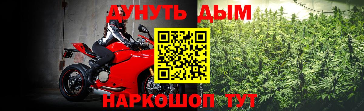 Шишки марихуана планчик  Каннабис SATIVA & INDICA  Вход с VPN  Ессентуки 